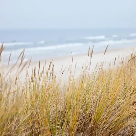 Gustava 30 Graal-Mueritz